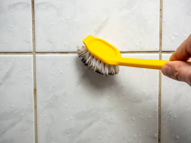 Best Mold Damage Repair  in Riverview, DE