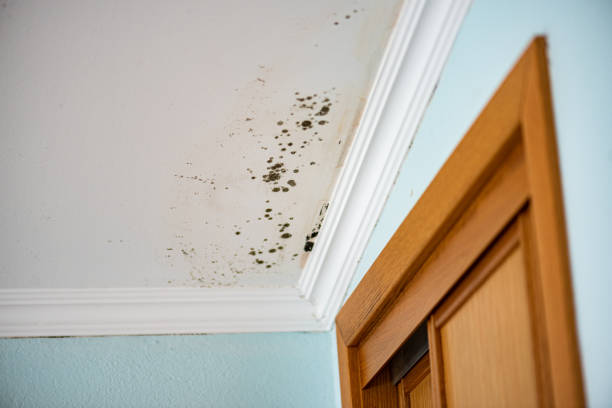 Water Damage Restoration in Riverview, DE