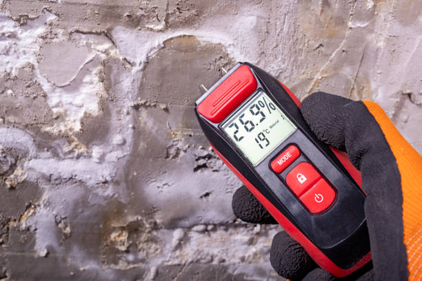 Best Toxic Mold Removal  in Riverview, DE