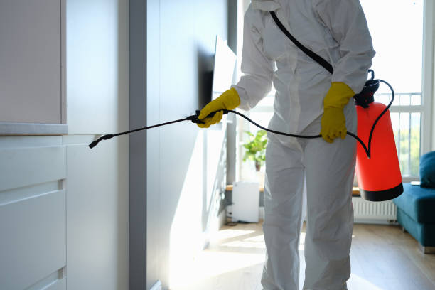 Best Black Mold Removal  in Riverview, DE