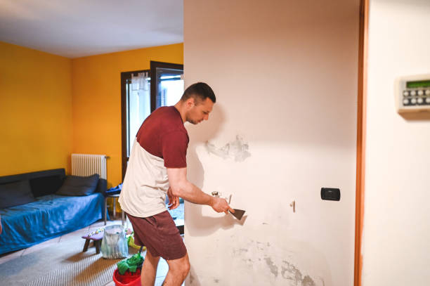 Best Certified Mold Removal  in Riverview, DE